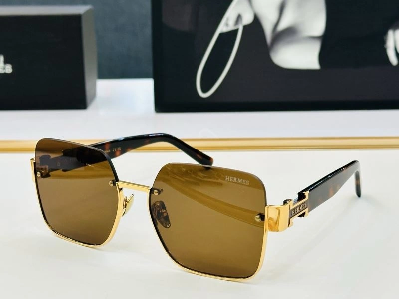 Functional Hermes Sunglasses 280192