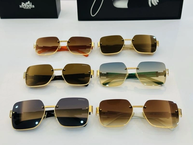 Functional Hermes Sunglasses 280192