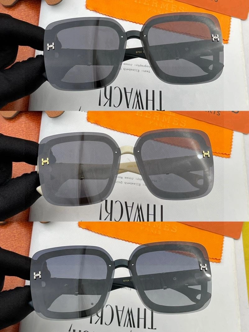 MultiPurpose Hermes Sunglasses 280187