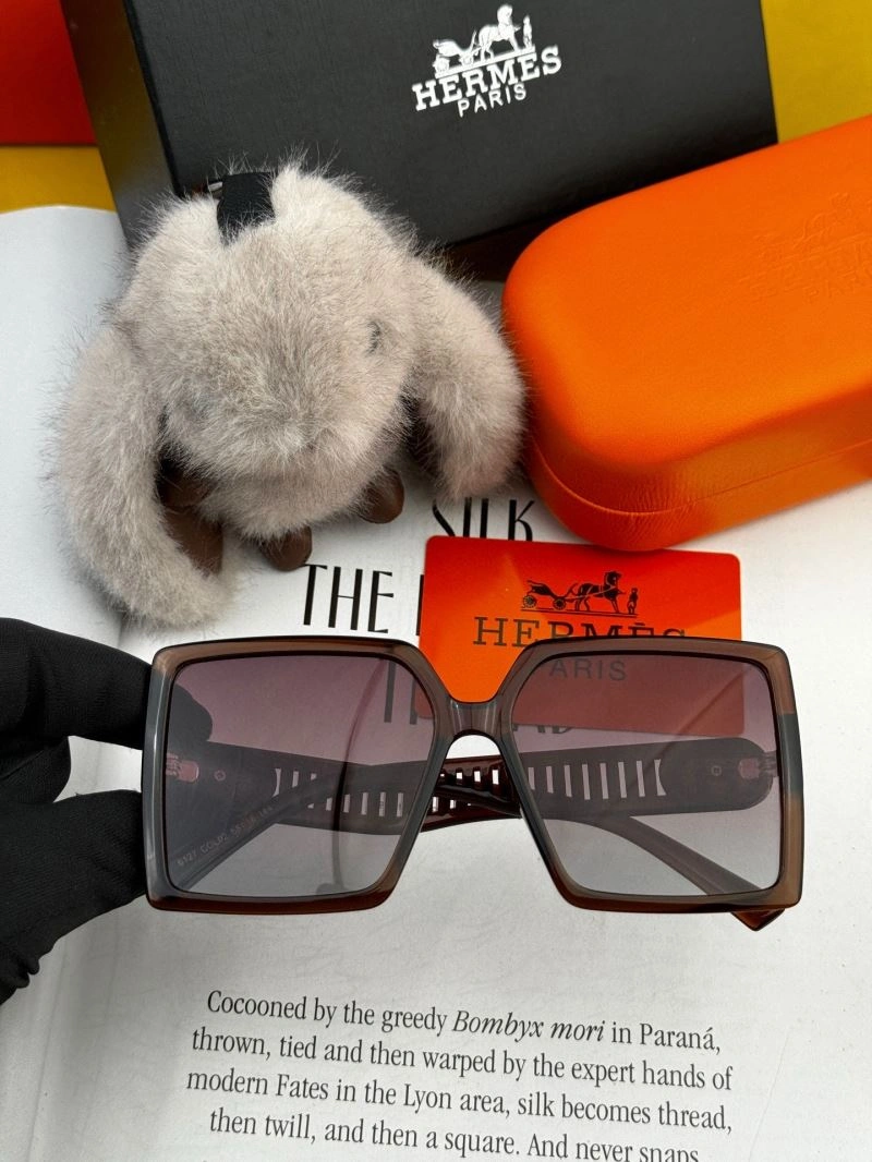Hermes Sunglasses Lightweight 280199
