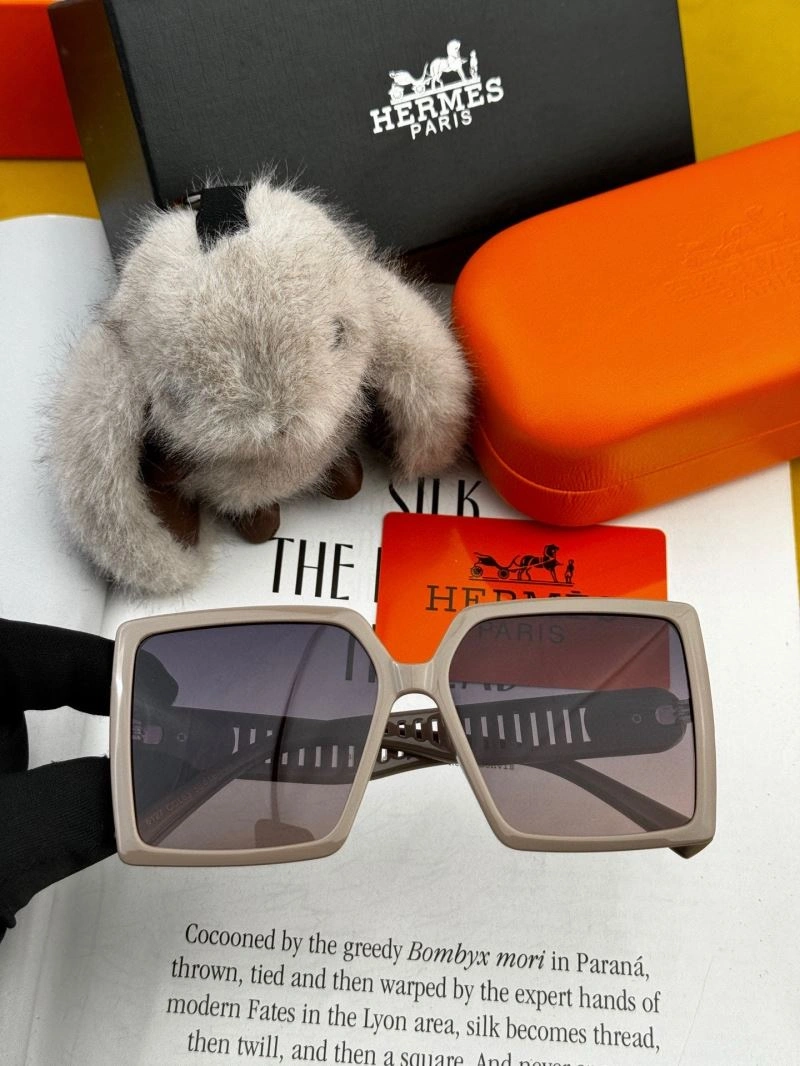 Hermes Sunglasses Lightweight 280199