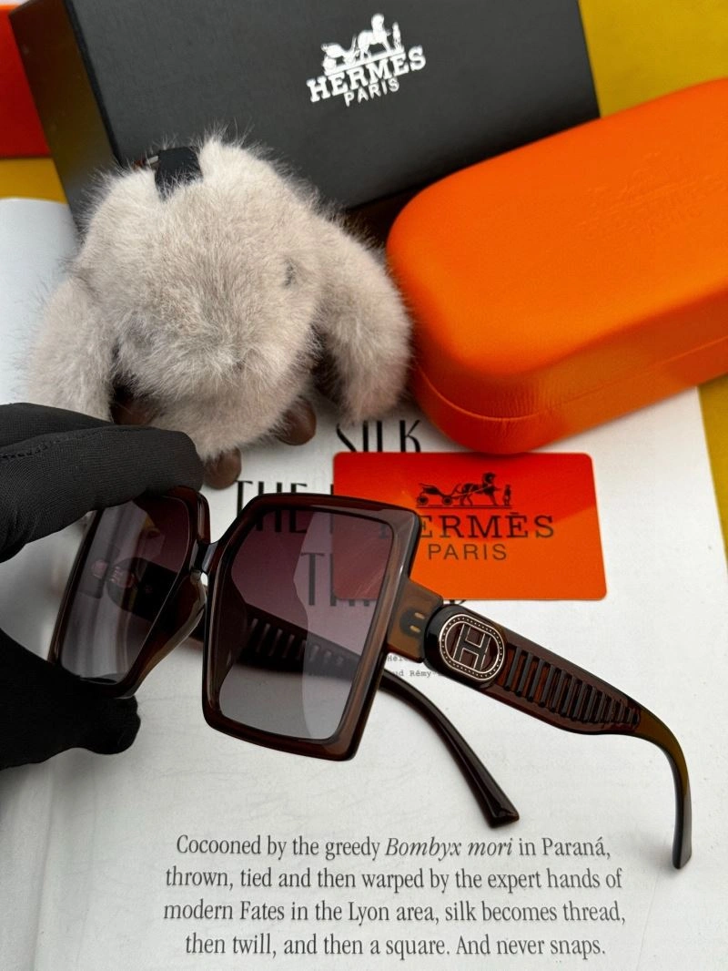 Hermes Sunglasses Lightweight 280199