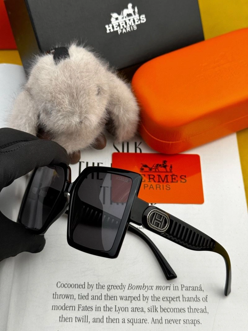 Hermes Sunglasses Lightweight 280199