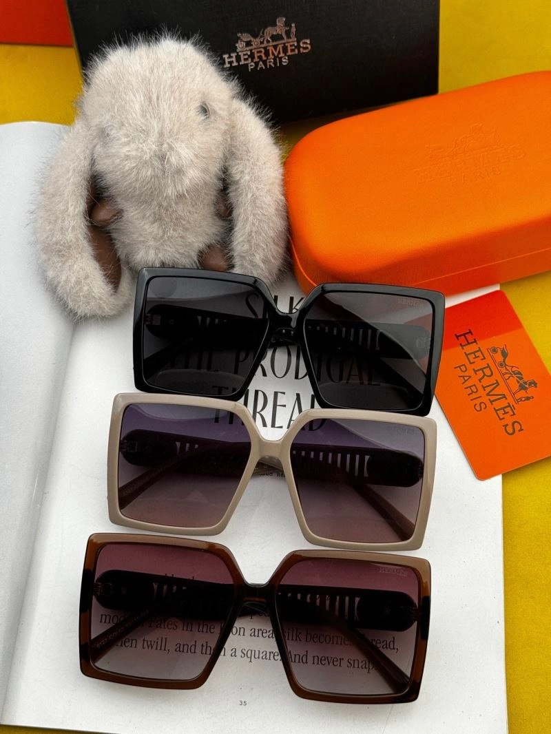 Hermes Sunglasses Lightweight 280199