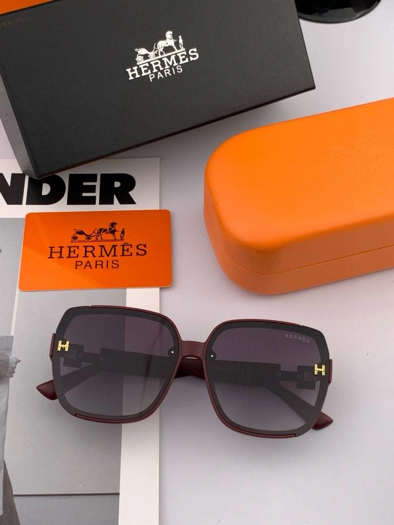 Snug Hermes Sunglasses 280200