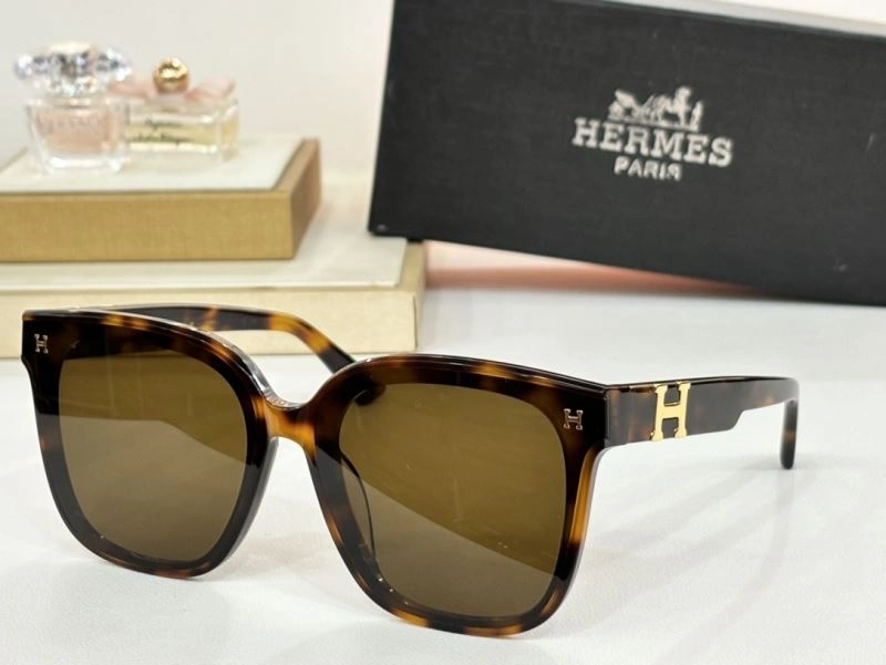 Hermes Sunglasses Comfortable 280223