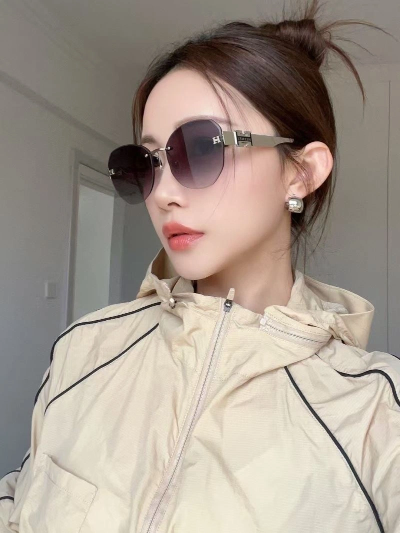 Classic Hermes Sunglasses 280231