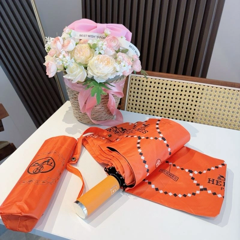 Hermes Umbrella Snug 274852