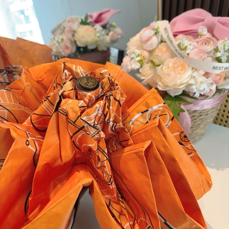Hermes Umbrella Resilient 274855