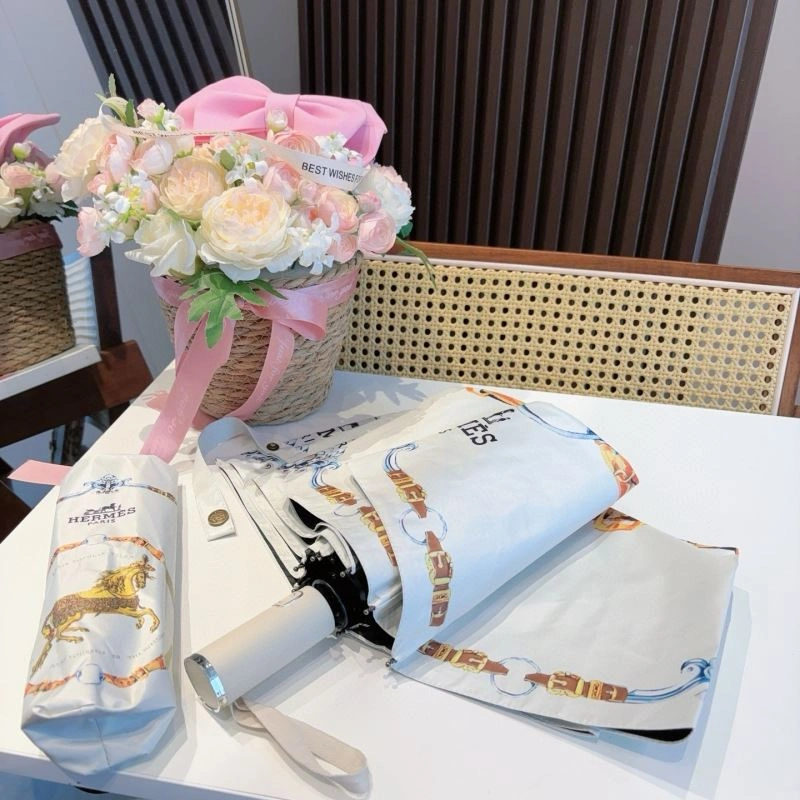 Hermes Umbrella Vibrant 274831