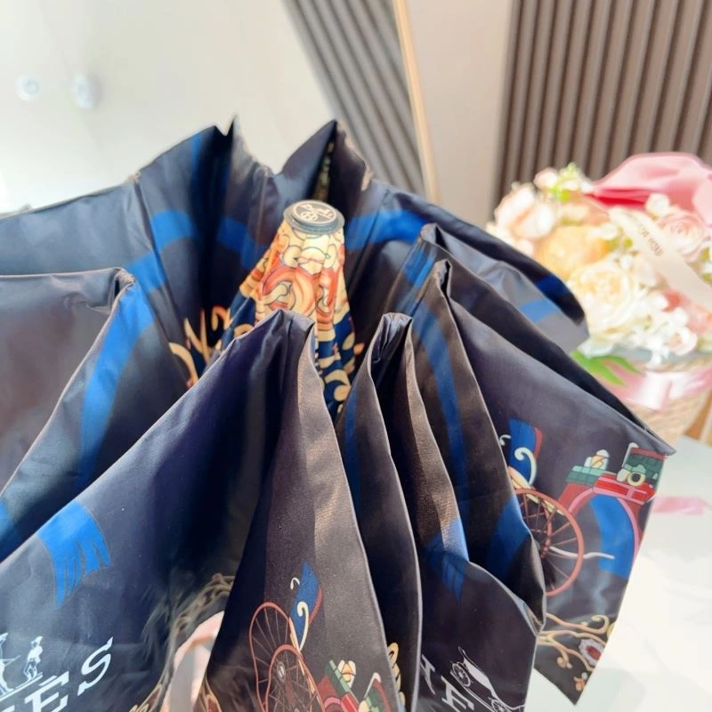 Hermes Umbrella Bold 275385