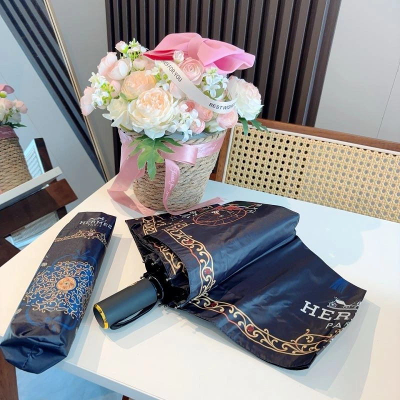 Hermes Umbrella Bold 275385