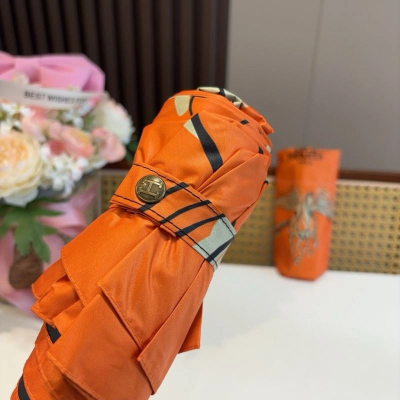 Trendsetting Hermes Umbrella 275375