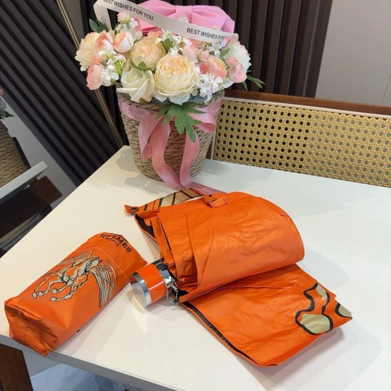 Trendsetting Hermes Umbrella 275375