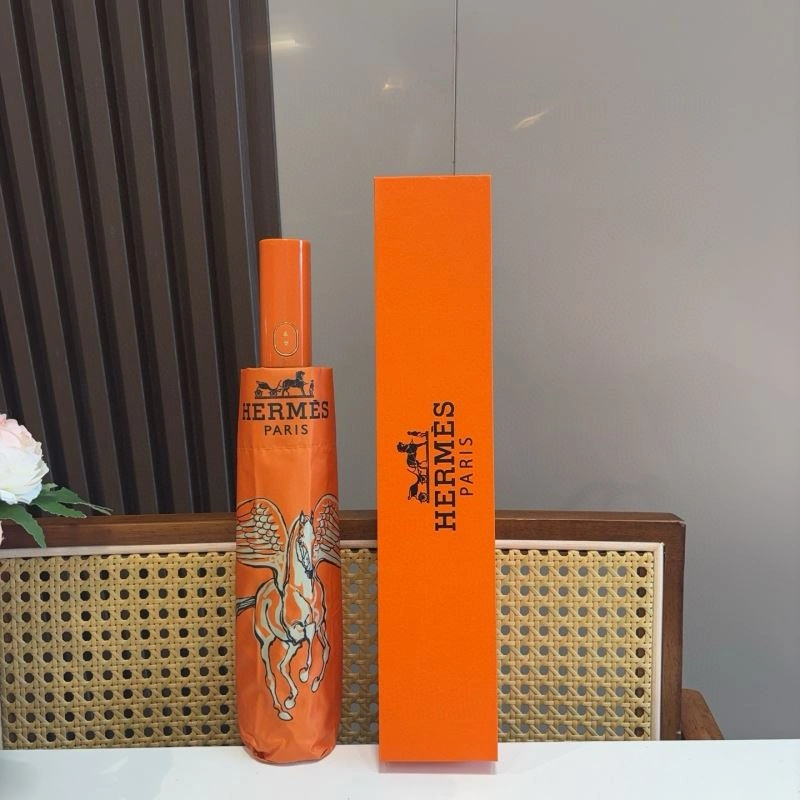 Functional Hermes Umbrella 275377