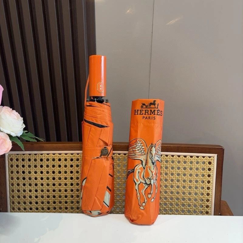 Functional Hermes Umbrella 275377