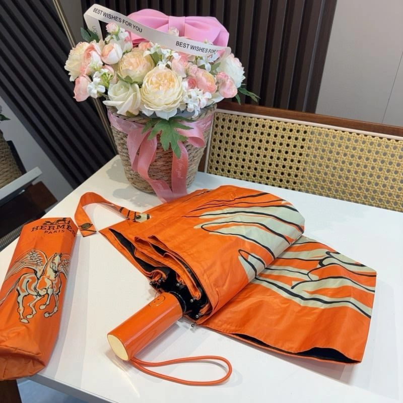 Functional Hermes Umbrella 275377