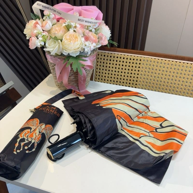 Hermes Umbrella Functional 275380
