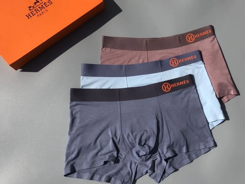 Hermes Underwear Neat 276771