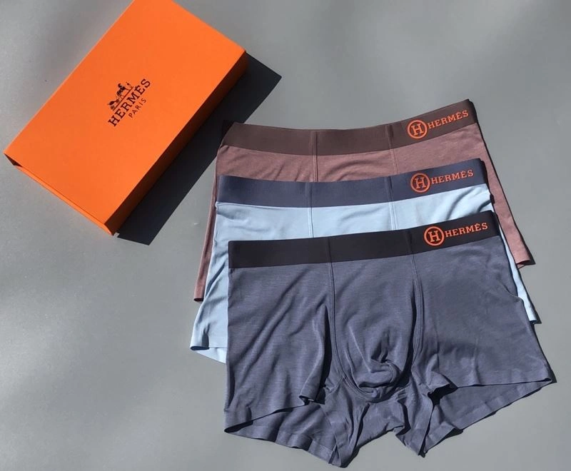 Hermes Underwear Neat 276771