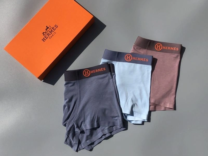 Hermes Underwear Neat 276771