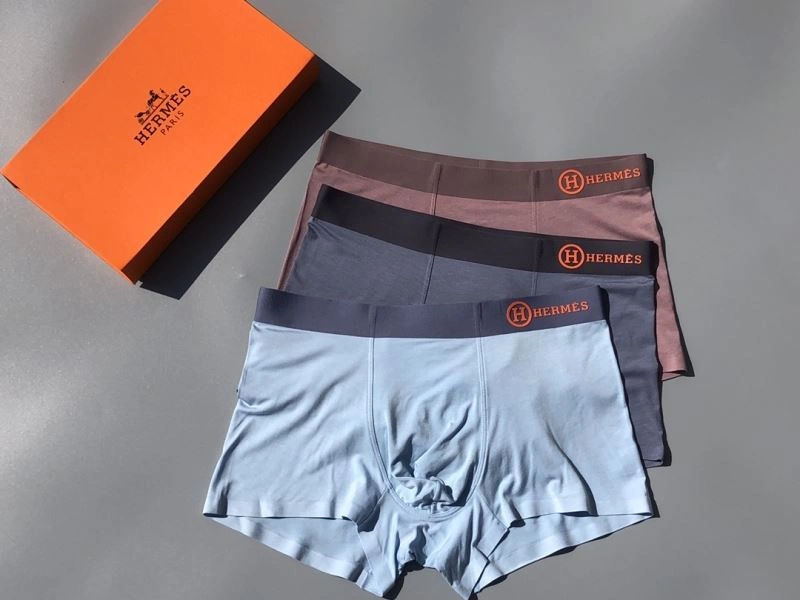 Hermes Underwear Neat 276771