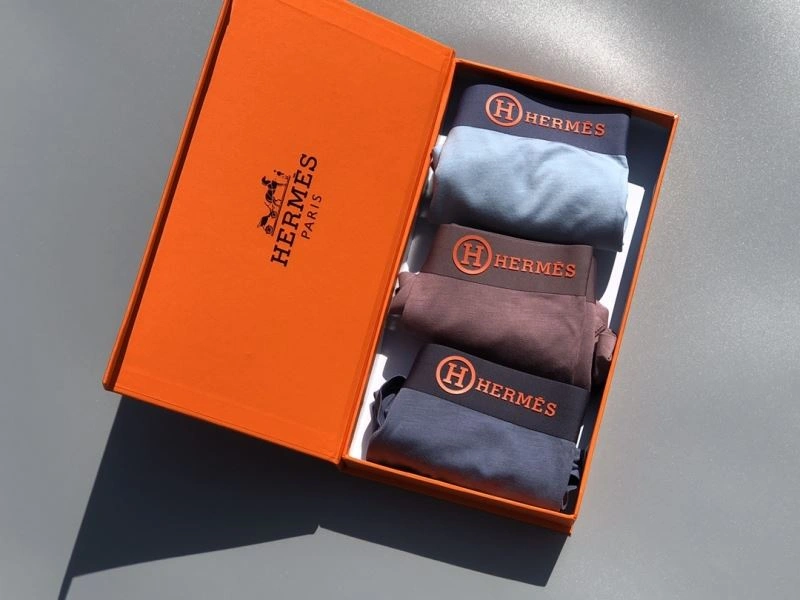 Hermes Underwear Neat 276771
