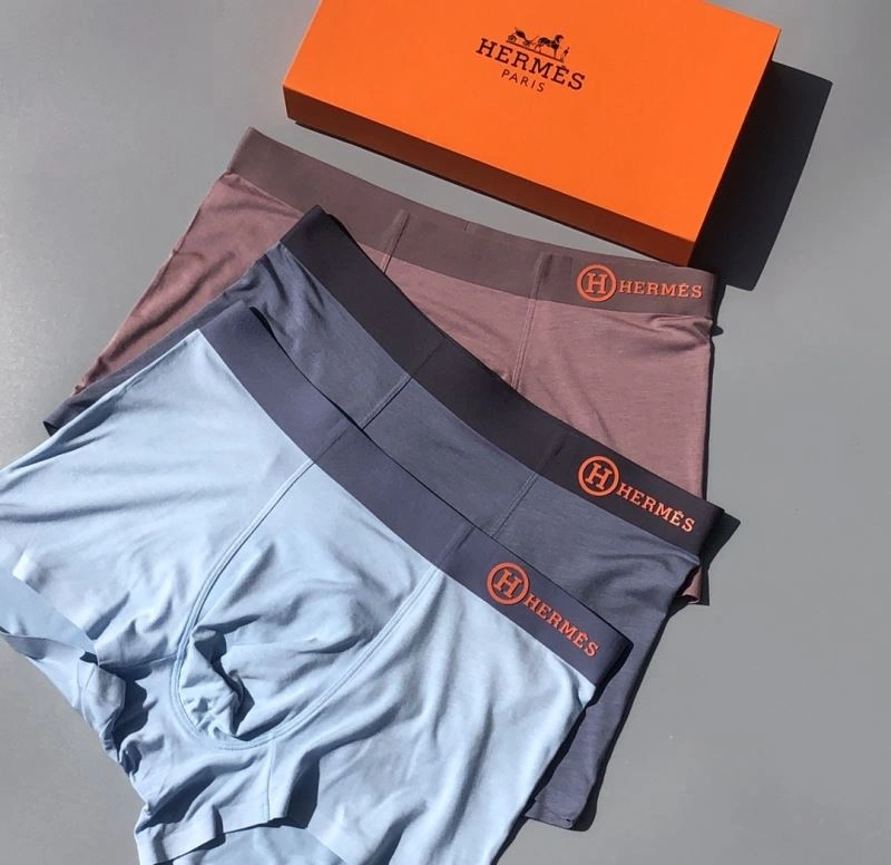 Hermes Underwear Neat 276771