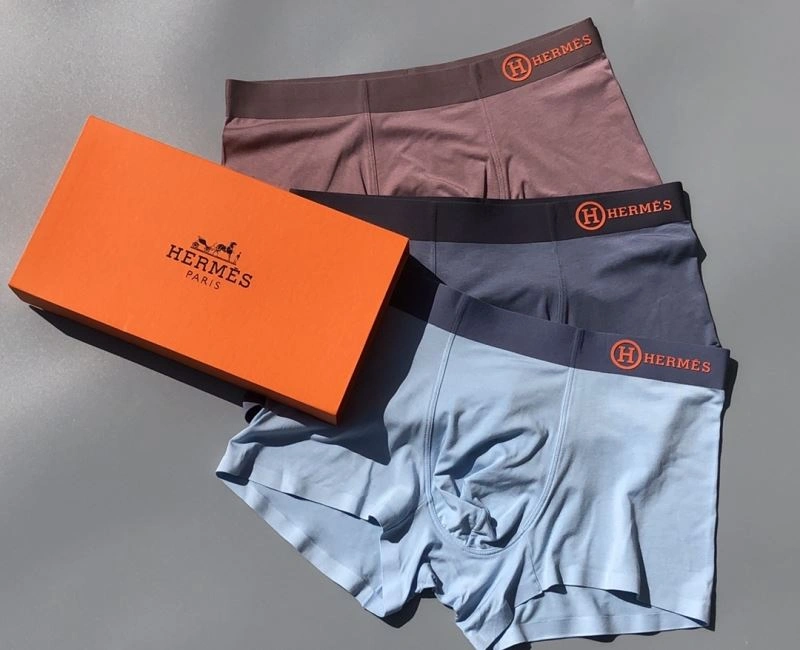 Hermes Underwear Neat 276771