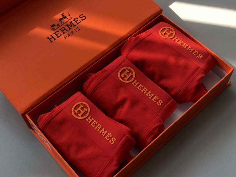Contemporary Hermes Underwear 276636