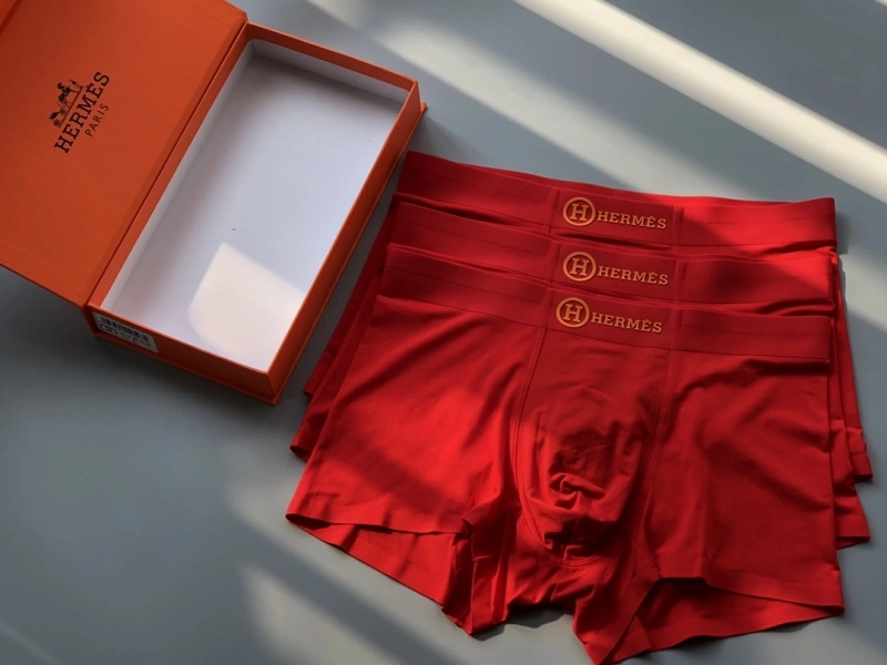 Contemporary Hermes Underwear 276636