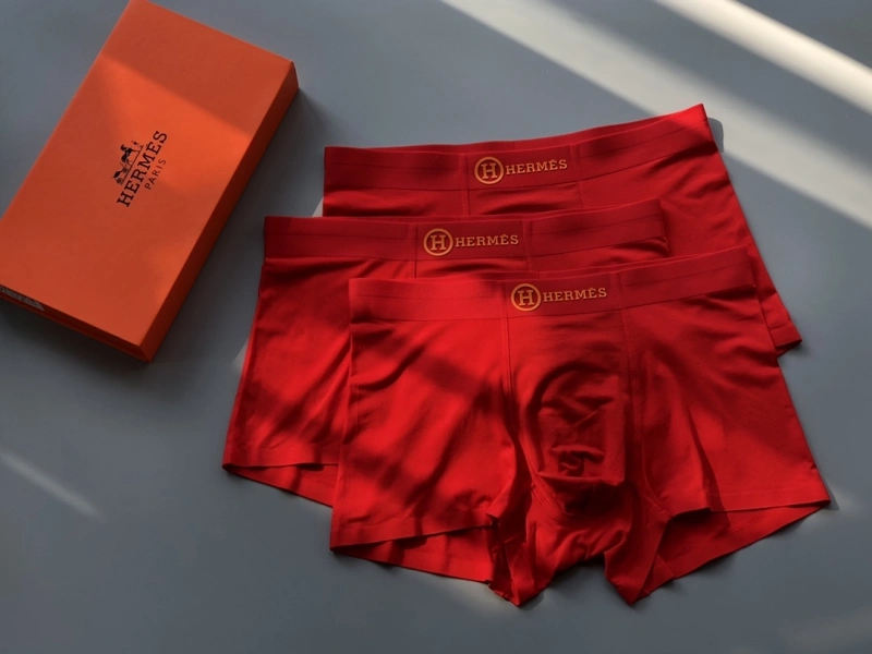 Contemporary Hermes Underwear 276636