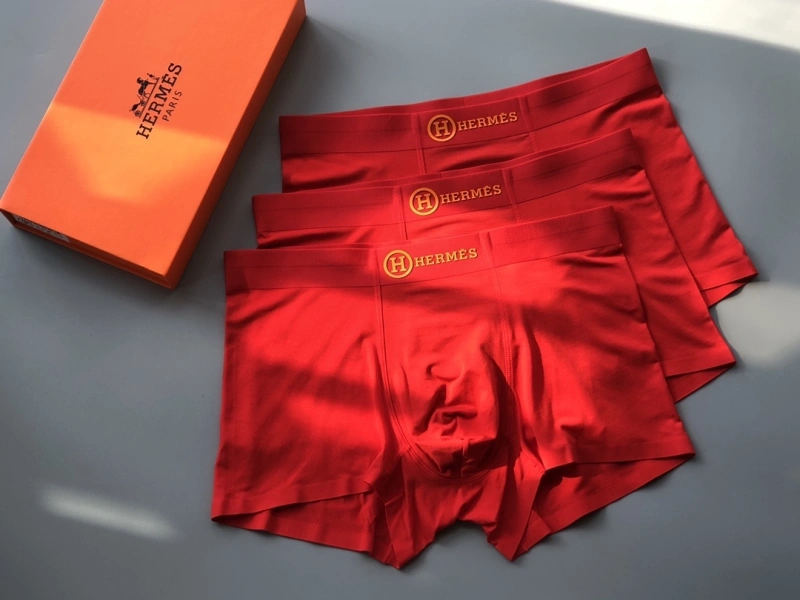 Contemporary Hermes Underwear 276636