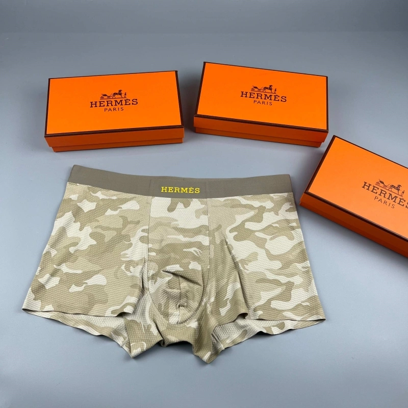 Upgraded Hermes Underwear 276657