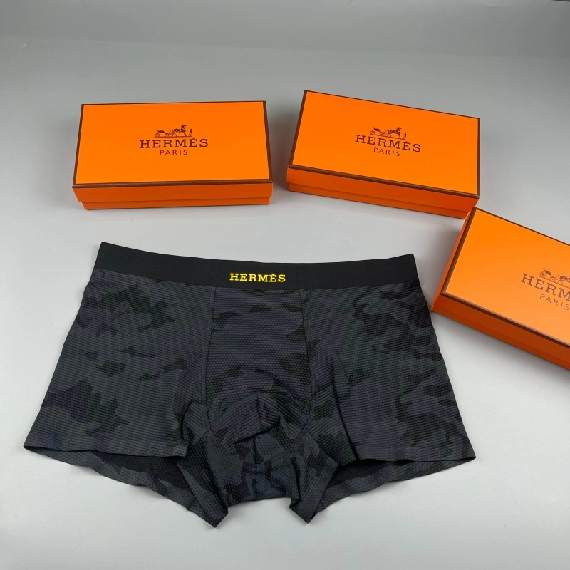 Upgraded Hermes Underwear 276657