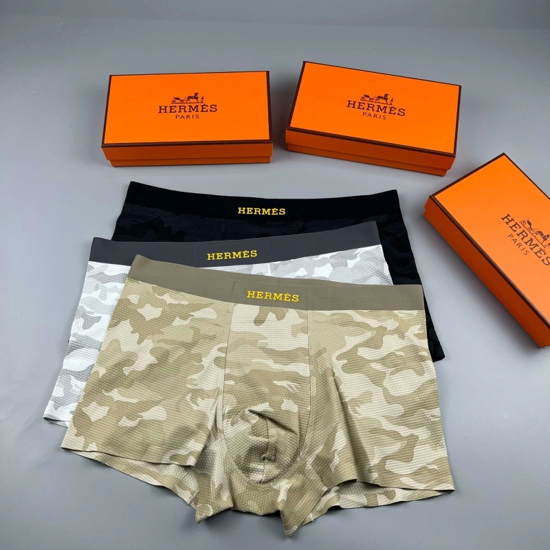 Upgraded Hermes Underwear 276657
