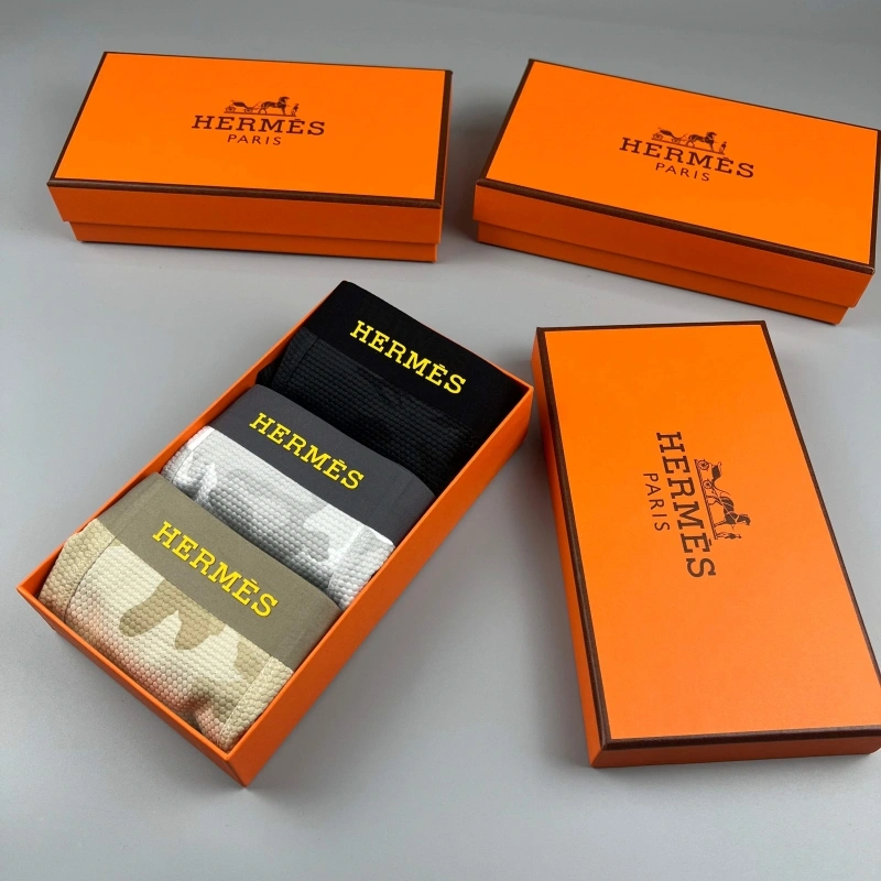 Upgraded Hermes Underwear 276657