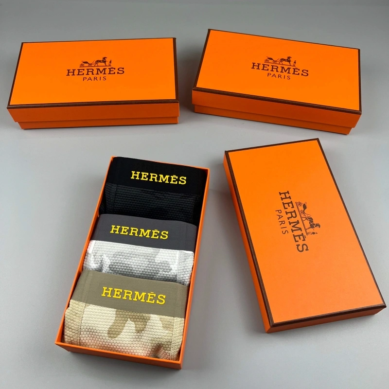 Upgraded Hermes Underwear 276657