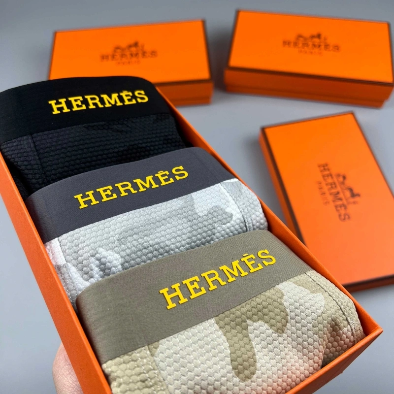 Upgraded Hermes Underwear 276657