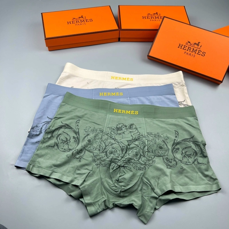 Hermes Underwear Tailored 276641