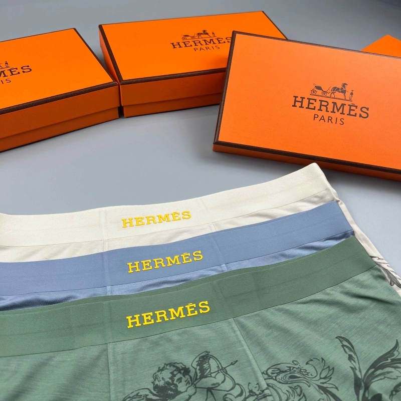 Hermes Underwear Tailored 276641