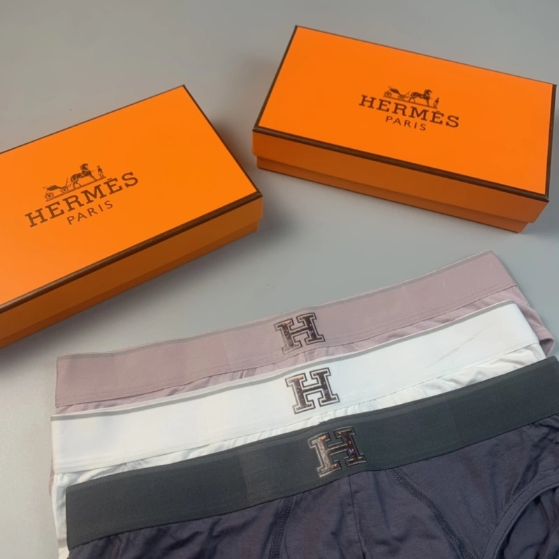 Hermes Underwear TravelReady 276343