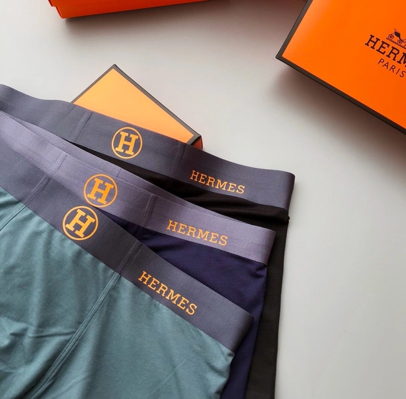 FlexibleFit Hermes Underwear 276338