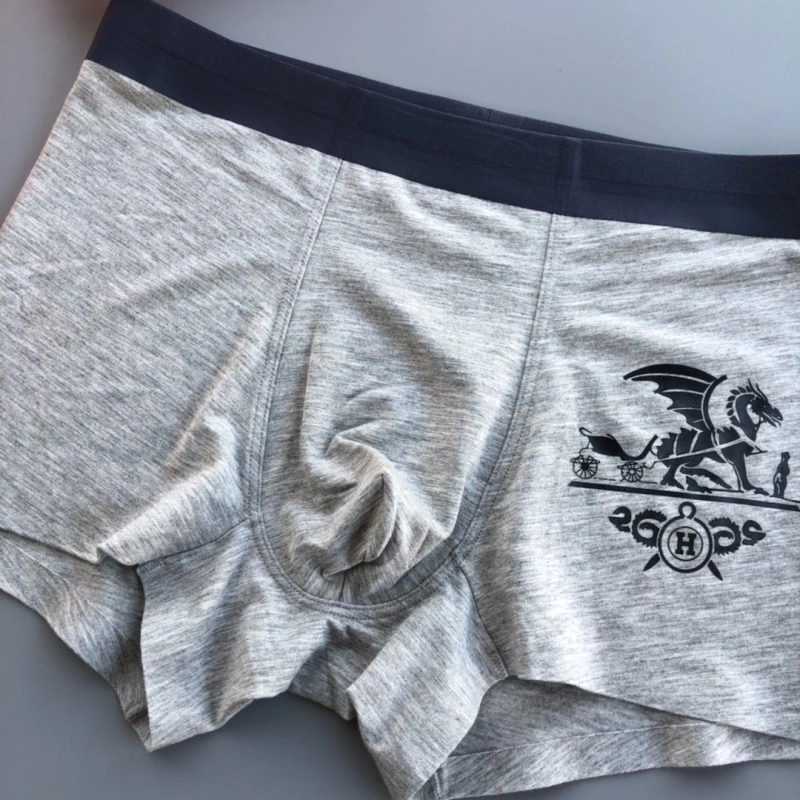 UrbanStyle Hermes Underwear 276357