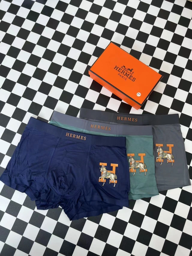 WellDesigned Hermes Underwear 276328