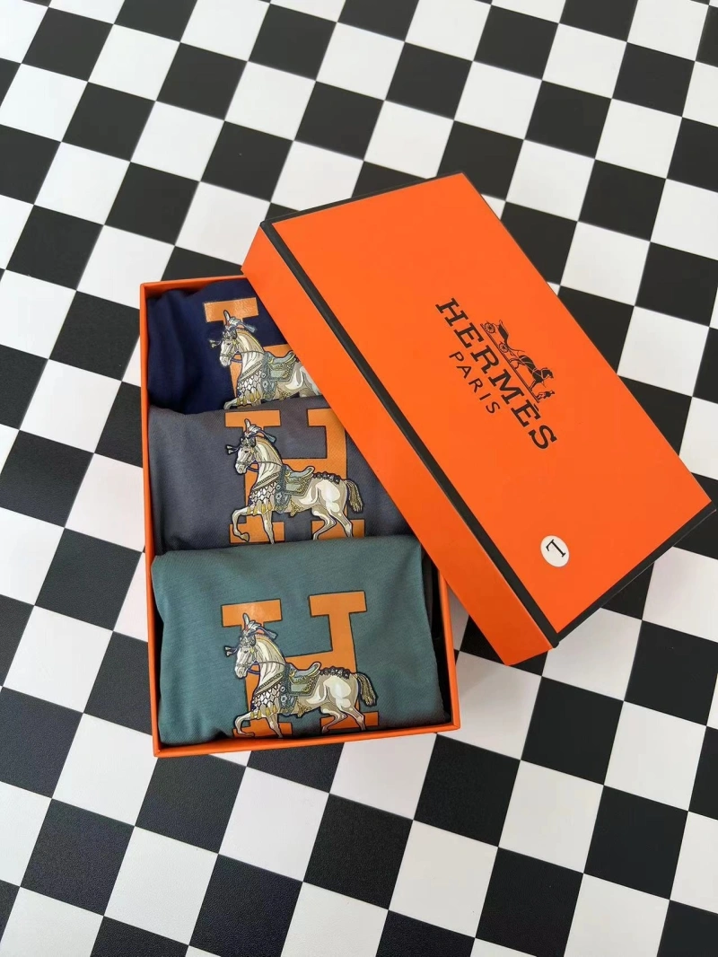 WellDesigned Hermes Underwear 276328