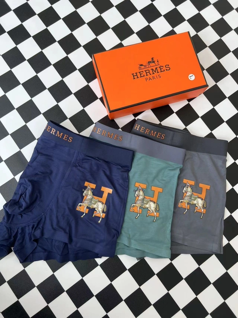 WellDesigned Hermes Underwear 276328