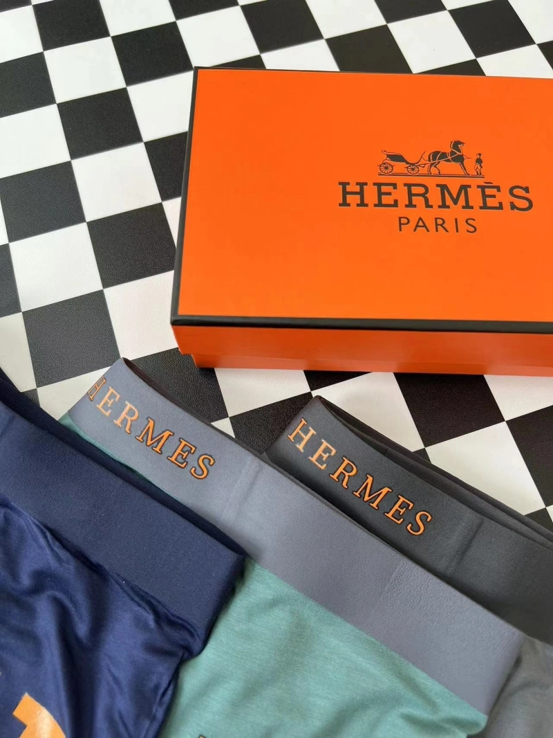 WellDesigned Hermes Underwear 276328