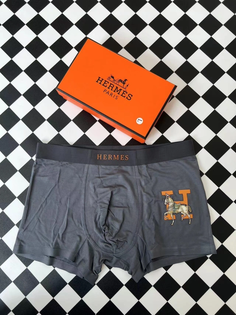 WellDesigned Hermes Underwear 276328