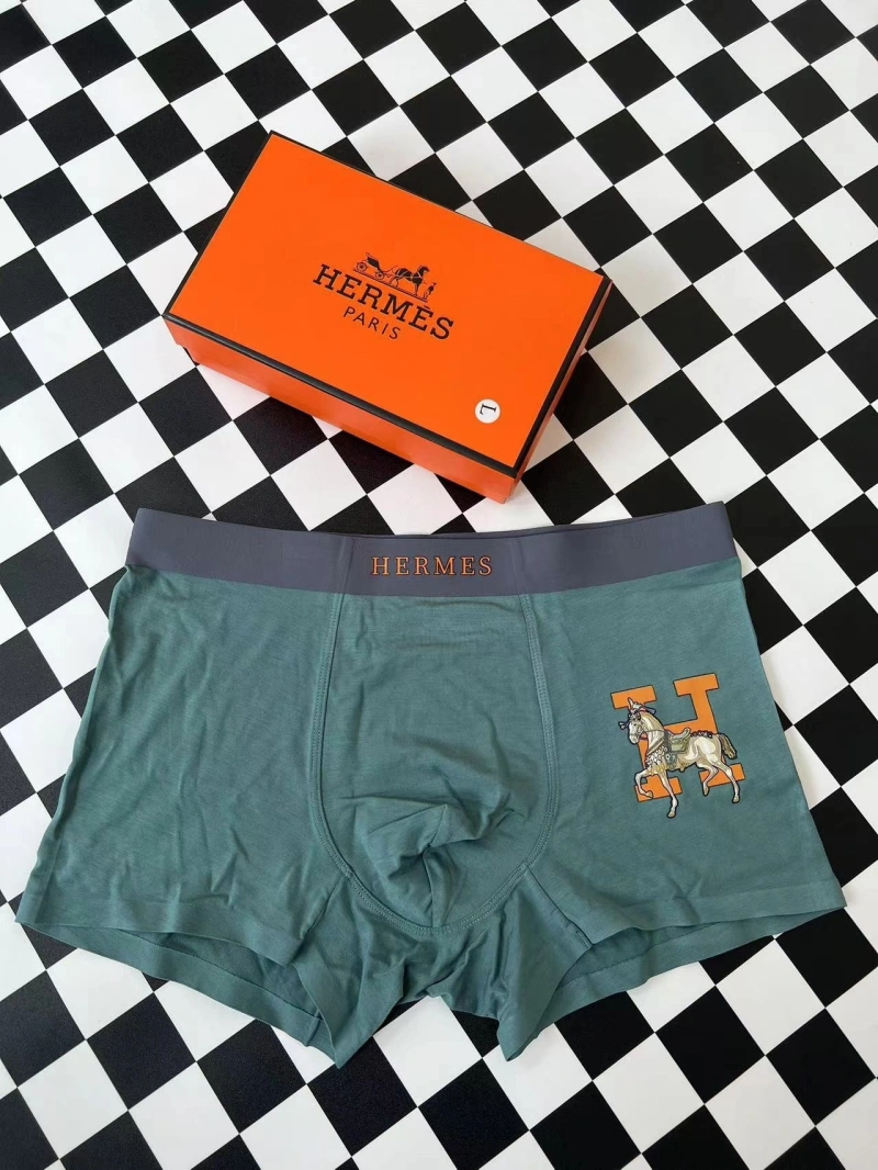 WellDesigned Hermes Underwear 276328